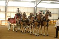 Four Horse Hitch-17