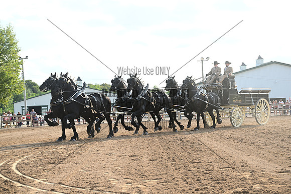 AJB_0471