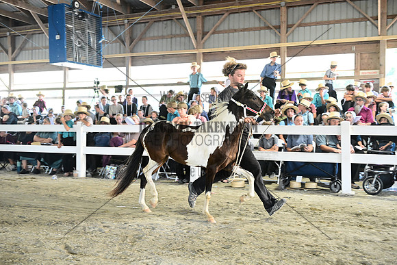 AJB_0345