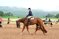 AJB_6331