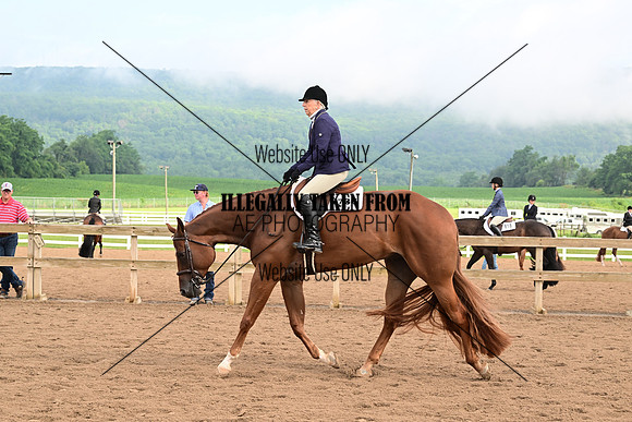 AJB_6331