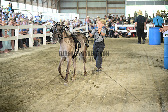 AJB_0029