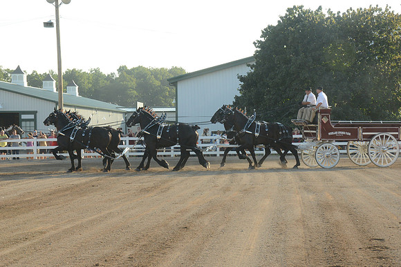 Six Horse Hitch-3