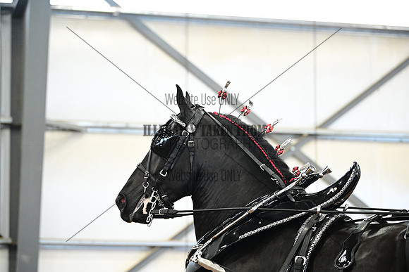 AJB_7329