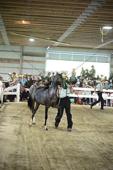 AJB_0193