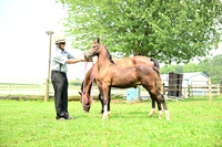 AJB_4790