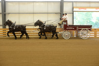 Four Horse Hitch-7