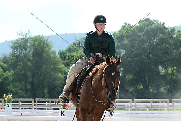 AJB_3631