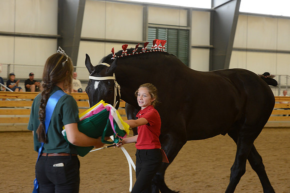 Jr. Youth Showmanship-44