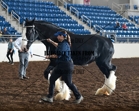 c.harmon_3065
