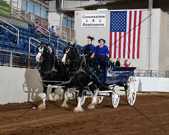 Shires_5048