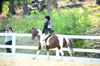 AJB_1531