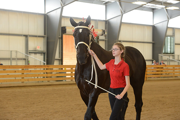 Sr. Youth Showmanship-24