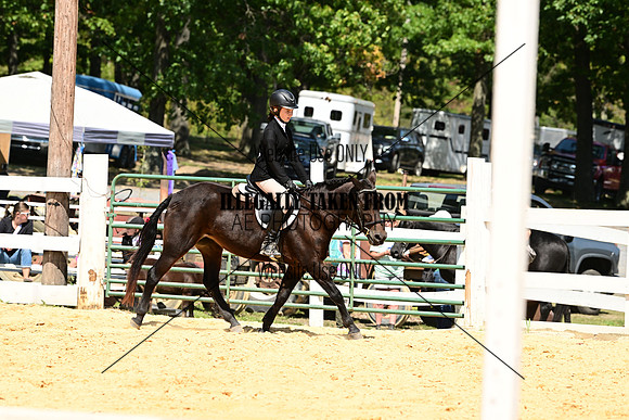 AJB_0783