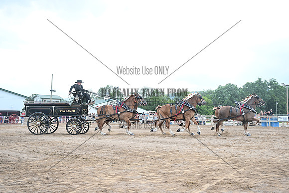 AJB_0601