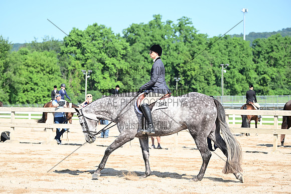 AJB_6518