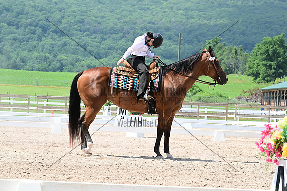 AJB_3174