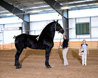 HCR_4365