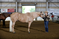 39. Amateur Aged Geldings