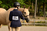 AJB_0131