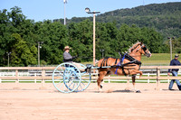 AJB_4619