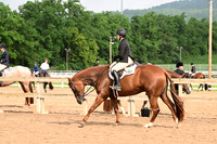 AJB_6558
