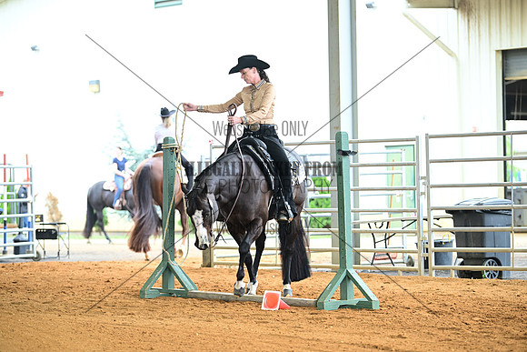 AJB_0734