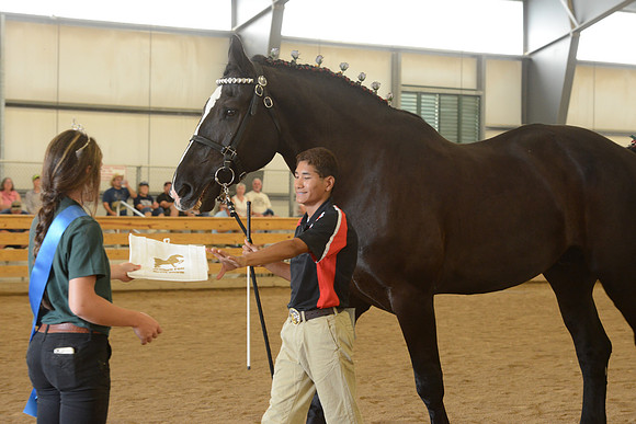 Sr. Youth Showmanship-26