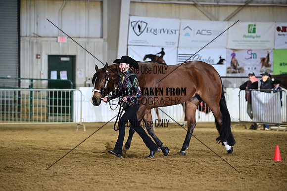 ASH_3590