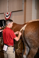 ASH_4818