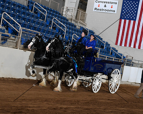 Shires_5254