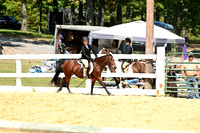 AJB_0774