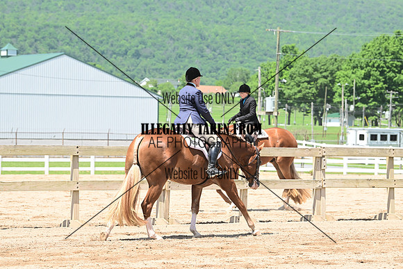 ASH_0953