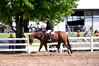 65.Jr Hunter Under Saddle