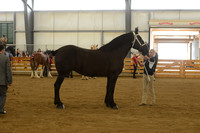 Jr. Youth Showmanship-18