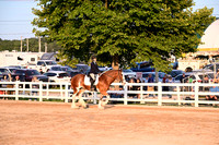AJB_5462
