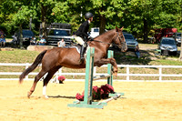 AJB_0611