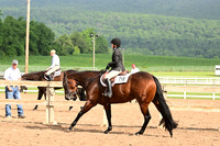 AJB_6555