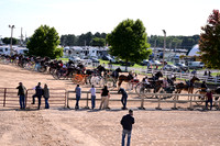 AJB_4652