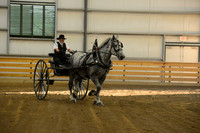 Men’s Cart_percherons-11
