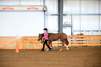 Open Yearling Longe Line