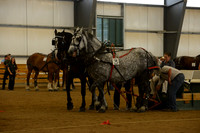 Farm Team-8