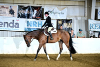 Level 1 Amatuer Hunter Under Saddle