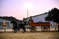 AJB_5683