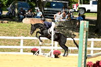 AJB_0653
