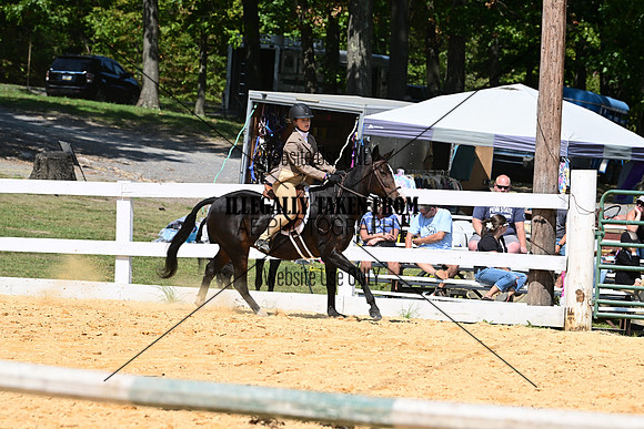 AJB_0799
