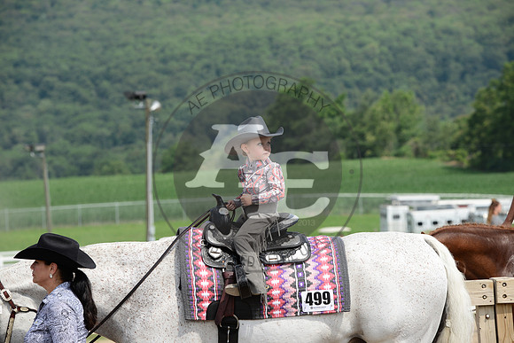 AJB_4356