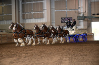 Clyd Six Horse Hitch