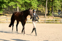 AJB_0291