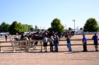 AJB_4649